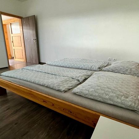 Apartman Lilly Borovany  Екстер'єр фото